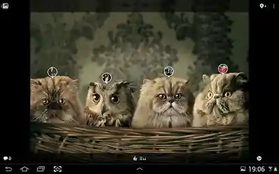 ������������� 3.5.5 ��� Huawei. ����� �1