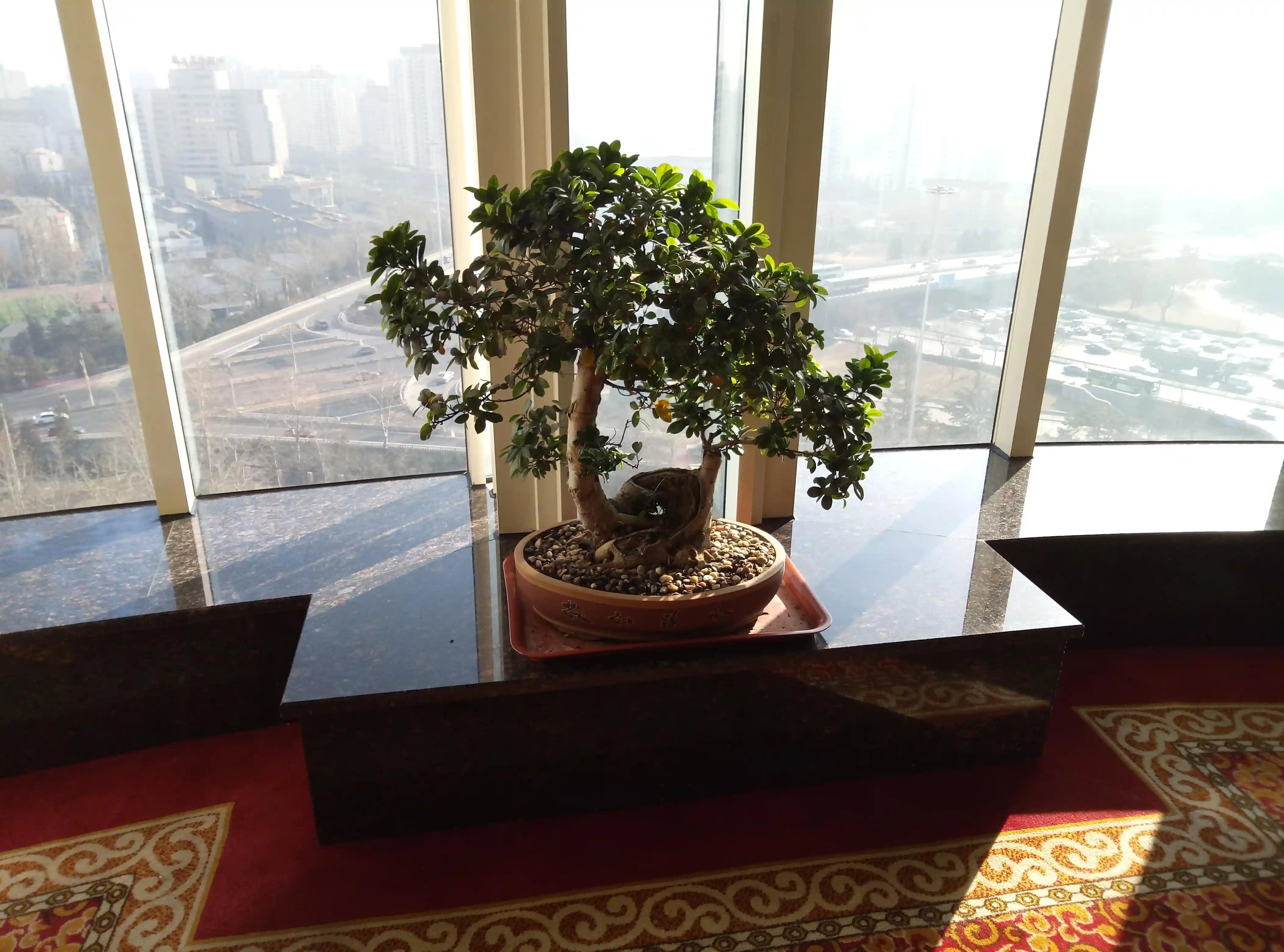 Huawei Enjoy 7 ���� � �����, ������� �����. ������ �3