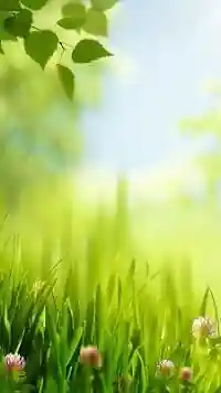 ����� ����� ���� ��� Huawei. ����� �1