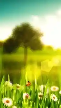 ����� ����� ���� ��� Huawei. ����� �2
